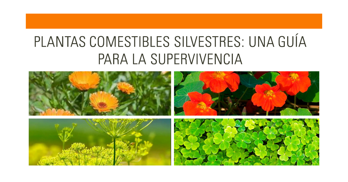 Plantas Comestibles Silvestres: Una Guía para la Supervivencia